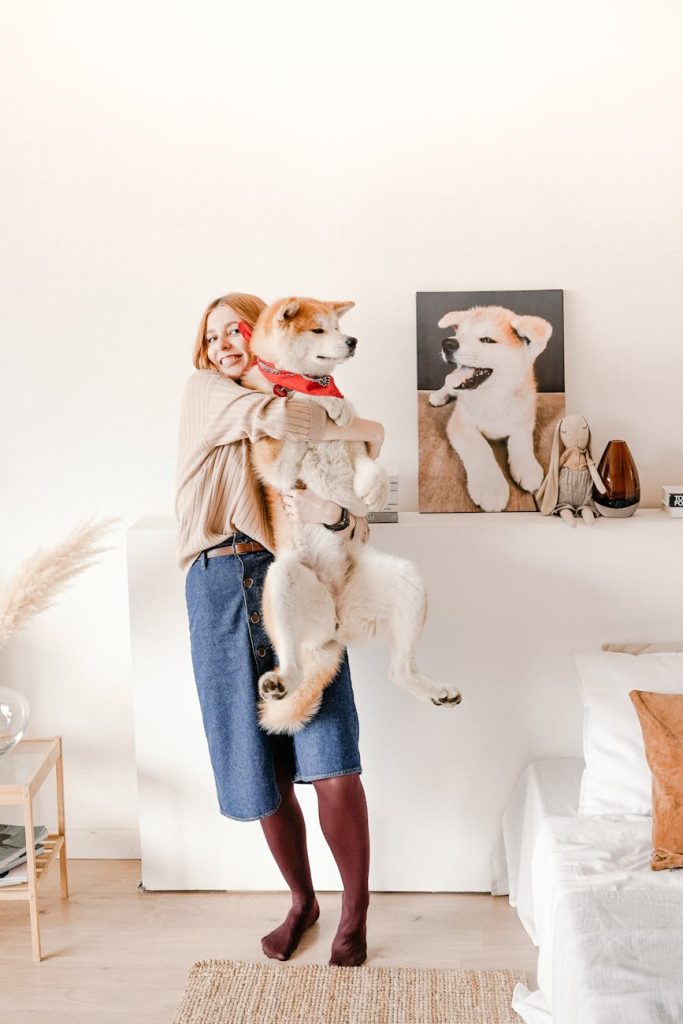 Woman holding an Akita dog indoors by a canvas photo. Bright, cozy setting.